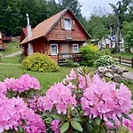 Grzywaczówka *