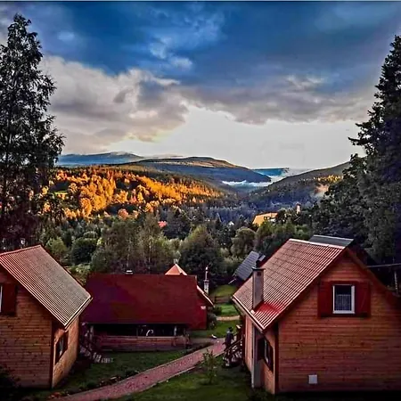 Grzywaczówka *